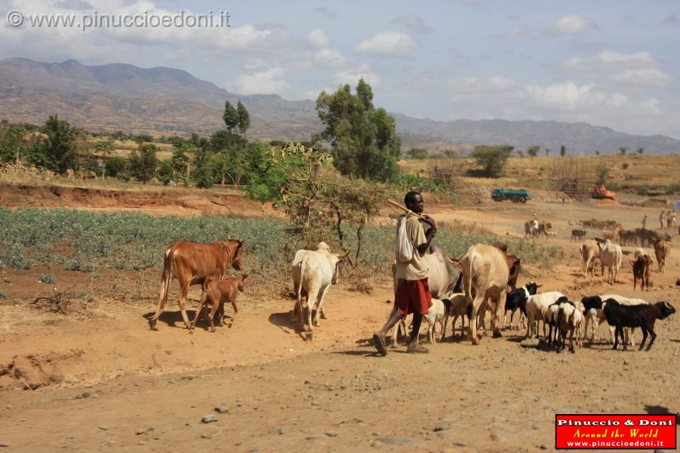 Ethiopia - 885.jpg